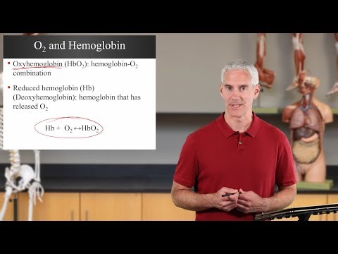 Oxygen Saturation (Ch22 Respiratory - Slides85-92)