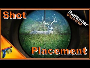 Perfect Shot Placement Guide | theHunter: Call of the Wild 2017