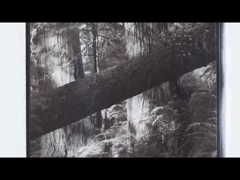 Jim Fitzgerald & the Carbon Printing Process