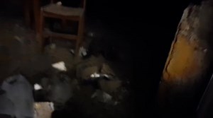 Reporte Visual Abandonados Calle mariscal castilla Frente a la iglesia Mariscal castilla es la calle q choca con la empresa de transportes cruz del sur | Refugio Animal Chiclayo