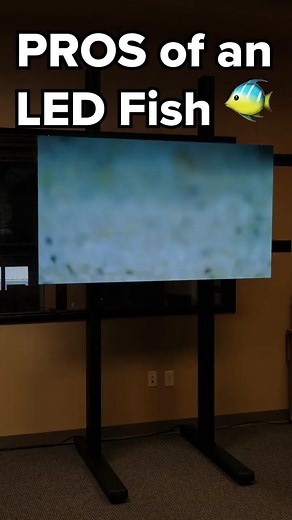We're combating the ornamental fish trade one environmentally conscious LED display at a time! 🌎 All the tranquil beauty, none of the actual responsibility, and a whole lot of energy efficiency. 💡 Find out more on our website. #fishybusiness #ledfish #fish #fishaquarium #doingdifferentbetter #vantageled #ledsigns #digitalsignagepro #digitalsignage | Vantage LED