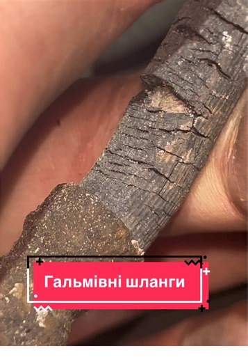 DIY Guide to Brake Hose Replacement