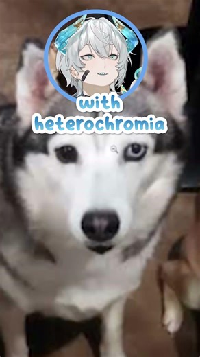 This Viewer’s House is a WARZONE