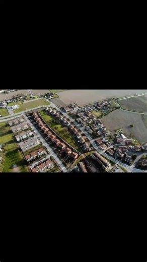 This is an easy loop to break. My goal is to change the way you think a boy your front and back yard. To change your mind on what is beautiful. To see life, habitat, nature and color as beauty rather than house after house of the same four bushes and turf with mow lines created by chemicals. #texasnativeplants #sustainablelandscape #dfwlandscaping #artificialturf