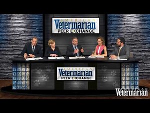 Translational Aspects of Pain Management Research