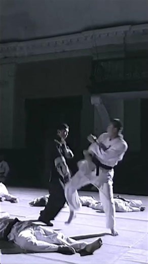 ip man vs 10 black belts-scene from ip man 1 #martial art #wingchun #ipman