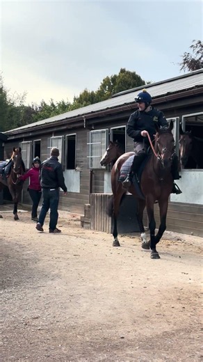 The beautiful synchronisation at Jamie Snowden’s yard 😍