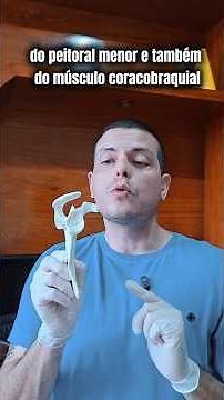 Scapula: bony landmarks and muscles | #EasyAnatomy in 2 minutes