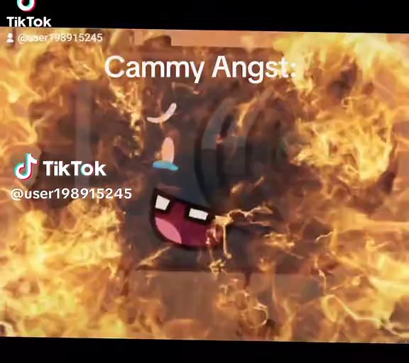 Cammy's Journey in Inanimate Insanity Explained