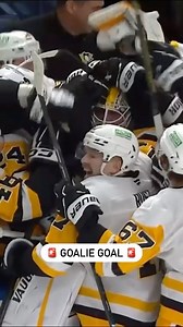 302K views · 6.2K reactions | ALEX NEDELJKOVIC GOALIE GOAL!  | Sportsnet | Facebook
