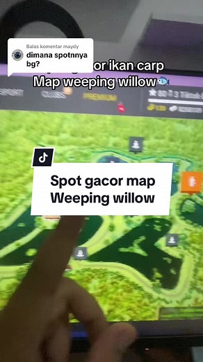 Spot Gacor Mancing Ikan Carp di Weeping Willow Fishing Planet