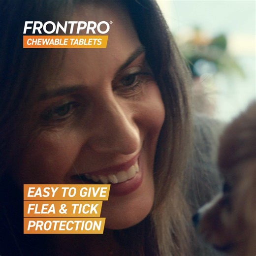 122 shares | NEW FRONTPRO® chewable tablets protects your dog and home from fleas & ticks for one month. From the makers of FRONTLINE® | FRONTLINE UK | Facebook