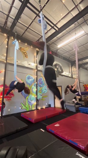 Explore Aerial Hammock Techniques for All Levels