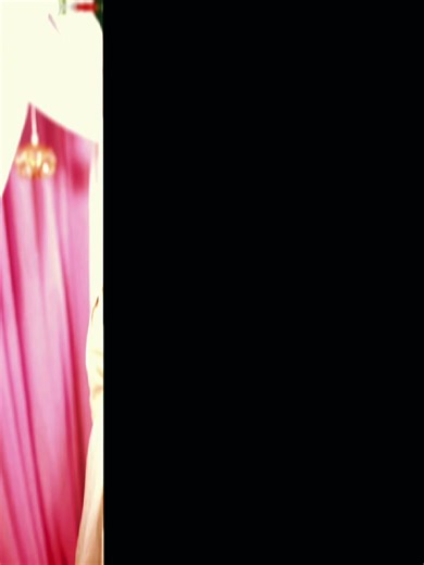 Albira jahan 🌸 (@albira.jahan8)’s videos with original sound - Sa ppu👑🖤