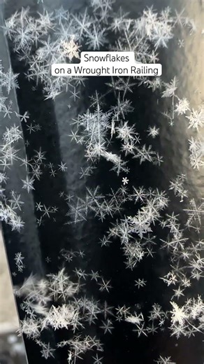 Six sided snowflakes on a black wrought iron railing #snowflakes #winter