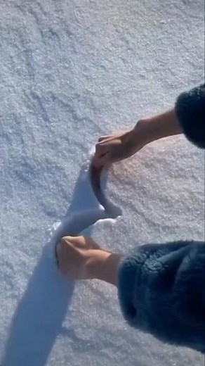 Alexa Merced on TikTok