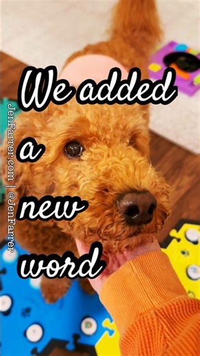 Adding A New Word Buttons For My Talking Dog - 132 🤗 #aic