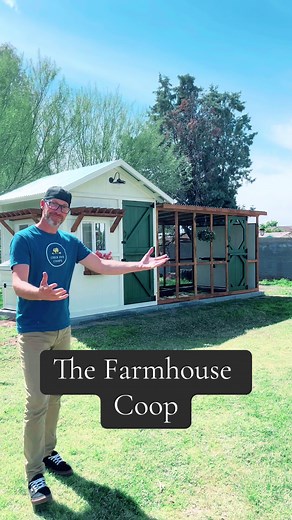 ChickInnCoops on TikTok