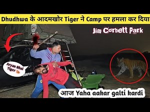 Tiger Attack on our camping | Night Camping in Jim Corbett | Camping Video