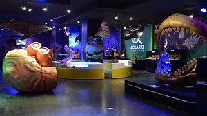 Acuario Inbursa, el único acuario subterráneo de Latinoamérica - México Desconocido