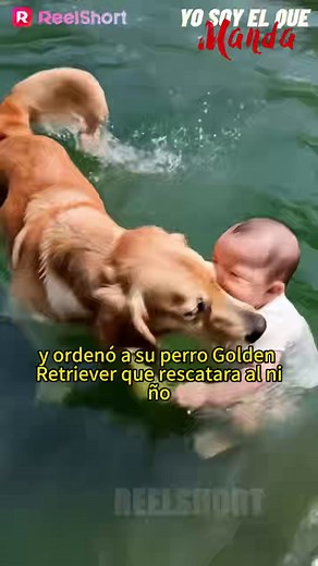 17K reactions · 464 shares | Free Short Dramas on Reels | Facebook