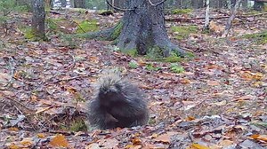 4.4K views · 174 reactions | In the immortal words of Taylor Swift:...