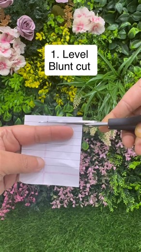 Educator | Salon Owner | Content creator on Instagram: "Master the art of cutting! Here’s the correct scissor holding technique every stylist must know. ✂️✨ Precision starts in your hands. scissor holding technique hair cutting scissors grip salon scissor technique how to hold scissors correctly professional haircut skills hairdresser scissor grip salon training reel hair cutting basics precision cutting technique hairstylist education India #ScissorTechnique #HairCuttingSkills #SalonTraining #H