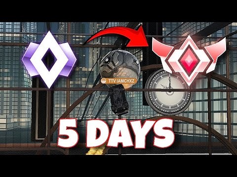How I Got GRAND CHAMPION in 5 Days (From Champ 1)