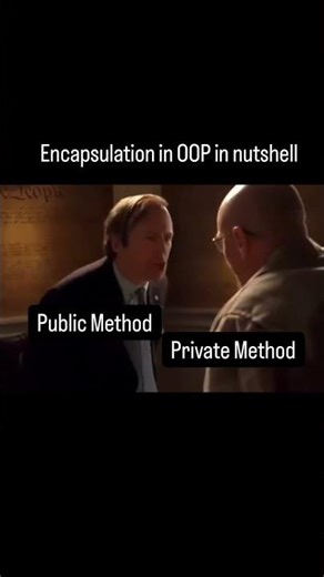 Just make everything public #oop #java #programminghumor #oosd #python