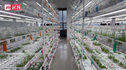 content_19778176.html