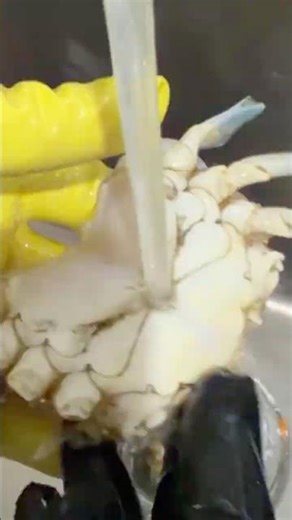 Blue Crab Cleaning Step-by-Step | Beginner Friendly #crab #viralfood #cooking