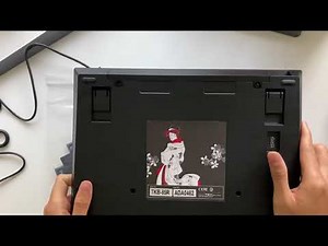 Tex Shinobi Keyboard Review