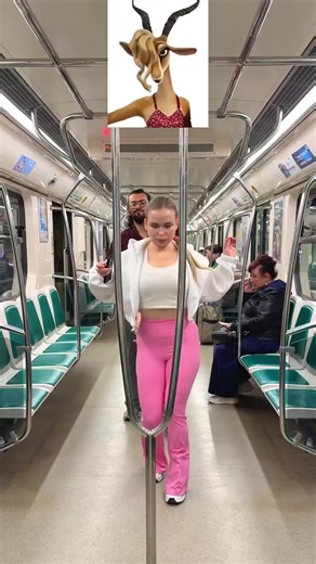 Hilarious Train Prank Video