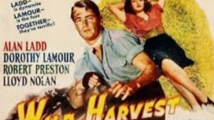 Wild Harvest with Alan Ladd and Dorothy Lamour 1947