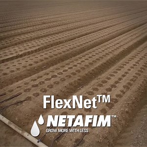 711 reactions · 81 shares | Simple, durable and leak-proof, FlexNet™ flexible pipe is assembled in the U.S. and entirely customizable to your needs. | Netafim USA | Facebook
