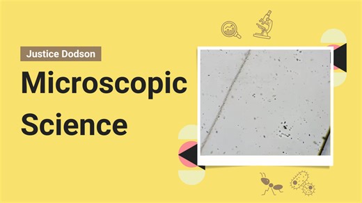 A Close-Up Look at Bacteria Fighting to Survive