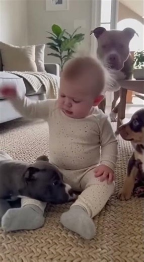 😂 Baby’s Acting Skills Too Good 🎭#pets #funny #cat #dog #animals