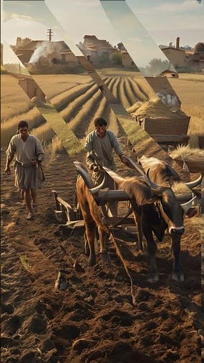 How Ancient Farmers Accidentally Created Modern Society #Agriculture #History