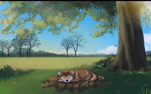 【睡眠系列】DOG MUSIC: 20 Hours of Extremely Relaxing Songs to Calm Your Dog!