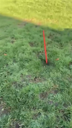 If you’re going to set fireworks off in a local park, at least clean up after yourselves. Dirty bastards | Spotted: Long Eaton