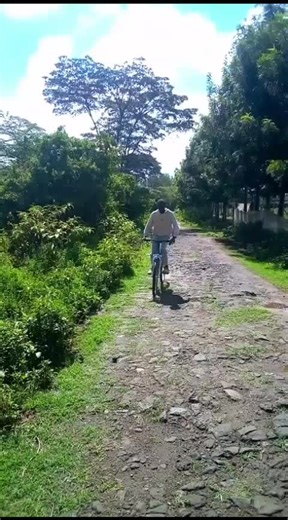 Hilarious Lion Moments That Will Leave You Laughing