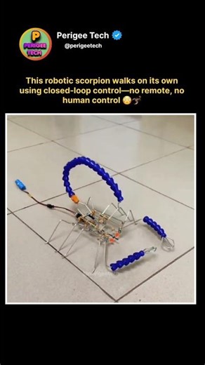 This Robotic Scorpion Walks on Its Own 😳 #shorts #robotics #ai #technology #innovation #futuretech