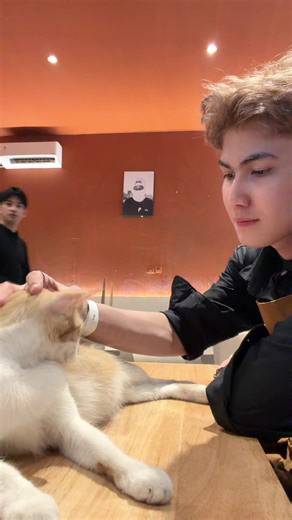 Ravit (@jravit_)’s videos with 原创音乐 - D&C Pet Selection