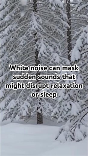 Short Quotes - Snowfall￼ White Noise ❄️