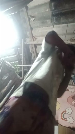 24 มีนาคม ค.ศ. 2026