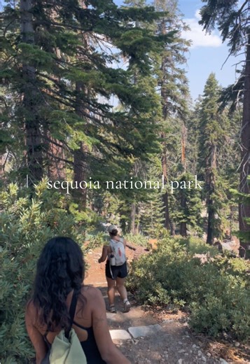 sequoia!! this was my 25th national park and it was such a special one, best hike for last ;) #sequoia #nationalparks #hiking