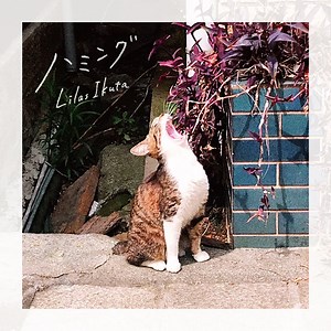 Humming - Lilas: Song Lyrics, Music Videos & Concerts