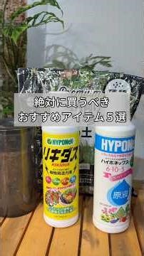 【観葉植物のおすすめアイテム5選】