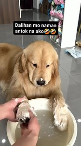 2.3M views · 69K reactions | #forentertainmentpurposesonlynocopyright #everyonehighlightsfollowerseveryonehighlightsfollowerseveryone #viewers #fbreelsfypシ゚ #TeamHilas | arlene david | Facebook