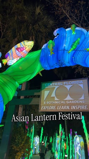 Kates Takes on Instagram: "Asian Lantern Festival at Central Florida Zoo now through January 18th. Walk around and see gorgeous lighted displays. Event is presented by @publix 🍪 (stop by the Publix stand for free cookies and hot cocoa) “Step into a world of light and color like you’ve never seen before. Wander the three-quarter-mile pathway filled with all-new, handcrafted lantern scenes, each glowing with thousands of LED lights. Ocean-inspired landscapes meet mythical creatures, from graceful